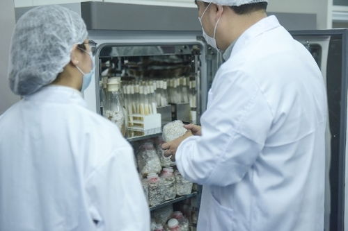 從吸脂獸到金菇露,長青品派堅持科技創新為企業根本