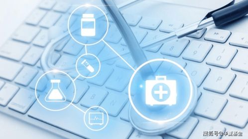 南下資金年內凈流入超3300億元，被重點關注的生物科技有何魅力