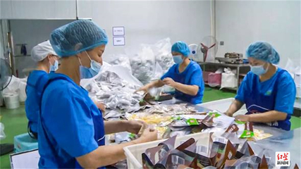 成都金堂精準施策“拼經濟” 476家企業全力以“復”發展生物科技